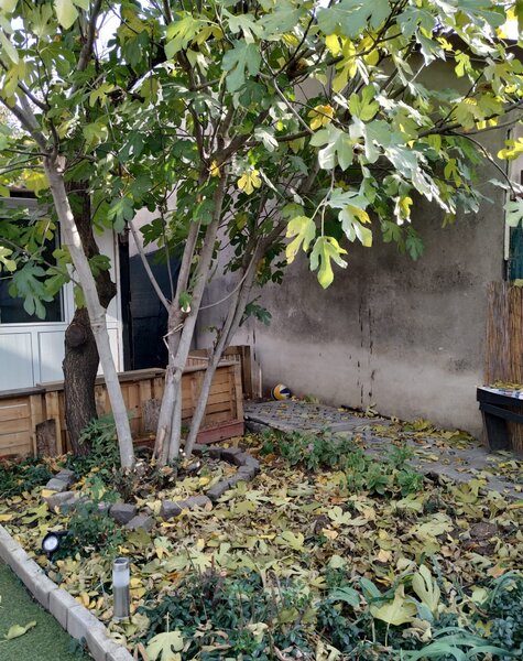 Berceni, Progresu,